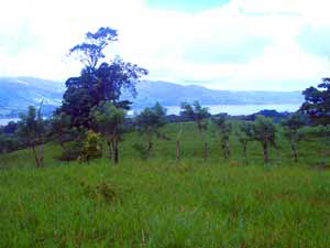 The ranches above La Union also have lake views. 